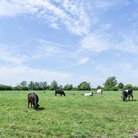 Green Acre Farm Ely Dış mekan fotoğraf