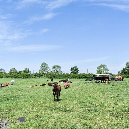Green Acre Farm Ely Dış mekan fotoğraf